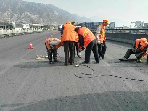 总口管理区道路桥梁病害治理